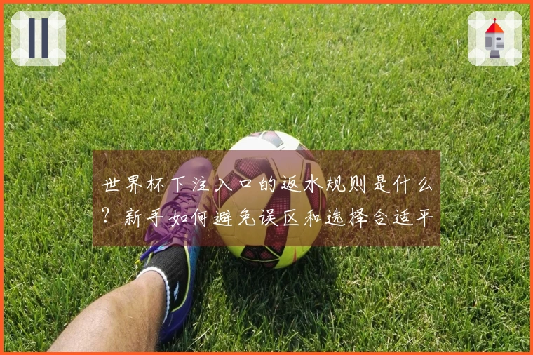 世界杯下注入口的返水规则是什么?新手如何避免误区和选择合适平台?