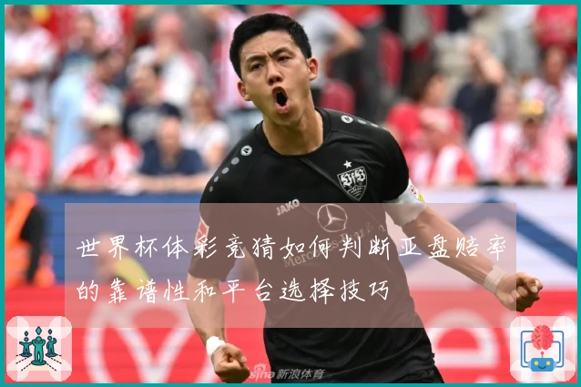 世界杯体彩竞猜如何判断亚盘赔率的靠谱性和平台选择技巧